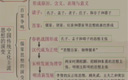 高中历史二轮复习专题十六第1课时《中国传统文化主流思想--古代儒家学说的发展历程》
