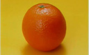 三年级英语下册Module 4 Unit2《Does Lingling like oranges？》（period 2）