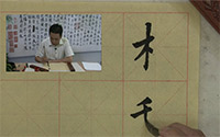 第五单元《欧楷左右、左中右结构合体字的书写（一）》第五课 木字旁 禾字旁