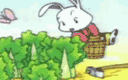 一年级语文下册第26课《小白兔和小灰兔》