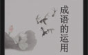高中语文第二轮复习《中华文化的智慧之花--成语的应用》（1）